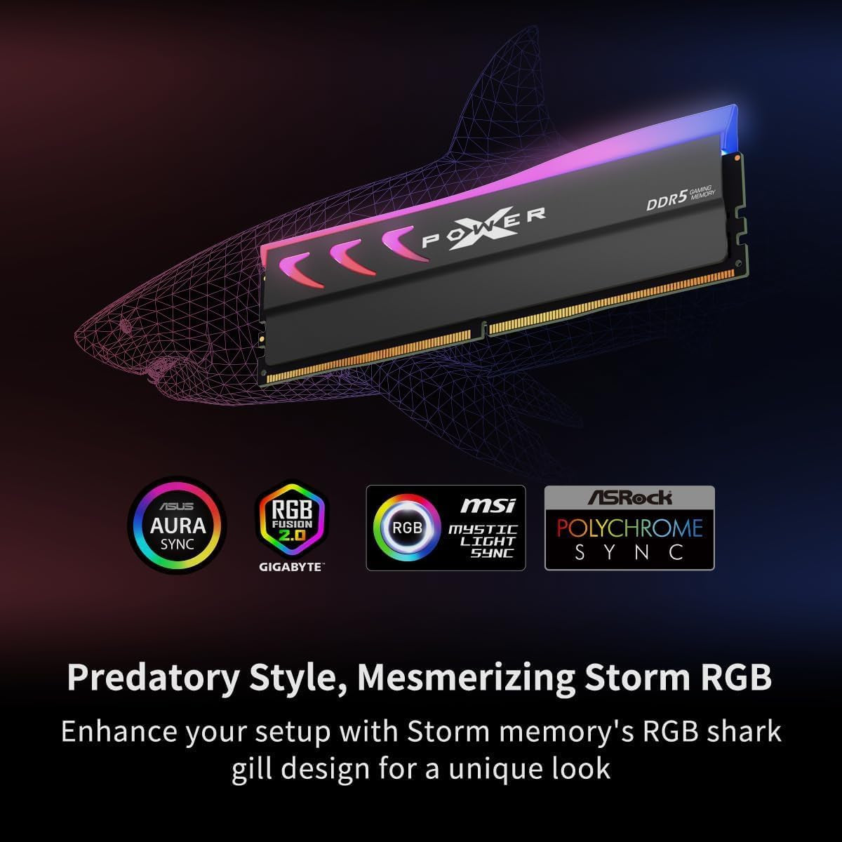 Mémoire Silicon Power Storm RGB — 32 Go (2 × 16) DDR5 6000 Mhz