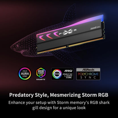 Mémoire Silicon Power Storm RGB — 32 Go (2 × 16) DDR5 6000 Mhz