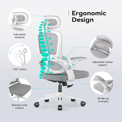 M102C Ergonomic Office Chair,Adjustable Lumbar,3D Armrests,White